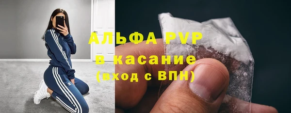 прущие грибы Бородино