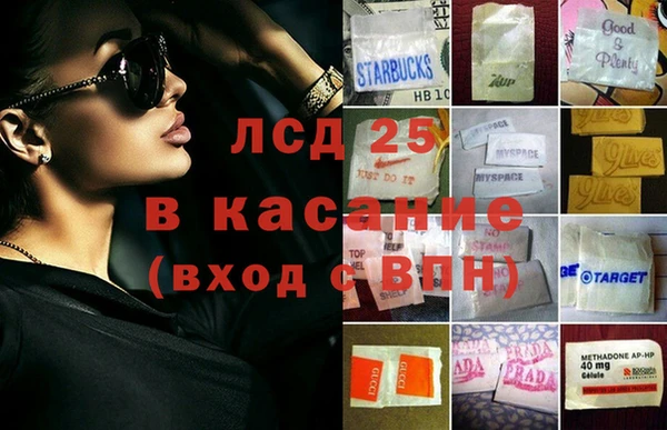 прущие грибы Бородино