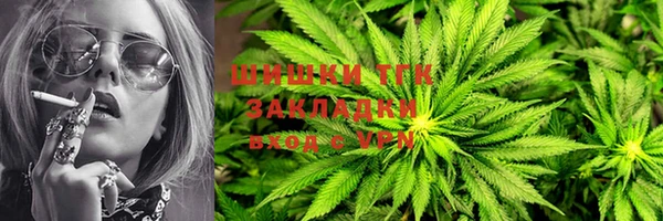 Альфа ПВП Богородск