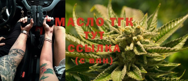 тгк Богданович