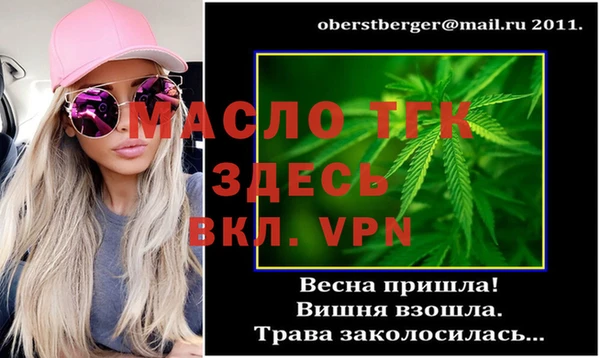 прущие грибы Бородино