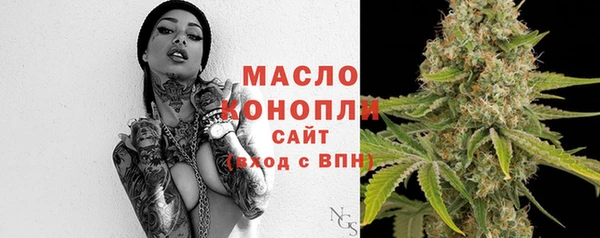 прущие грибы Бородино