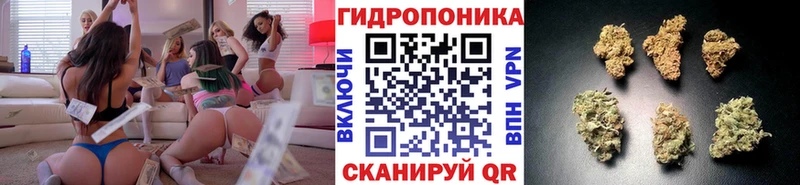 Канабис семена  Миллерово 
